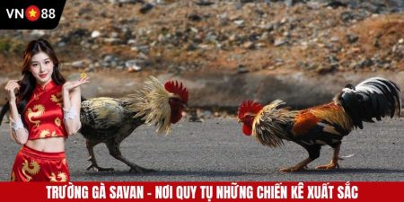 Trường Gà Savan