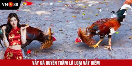 Vảy Gà Huyền Trâm