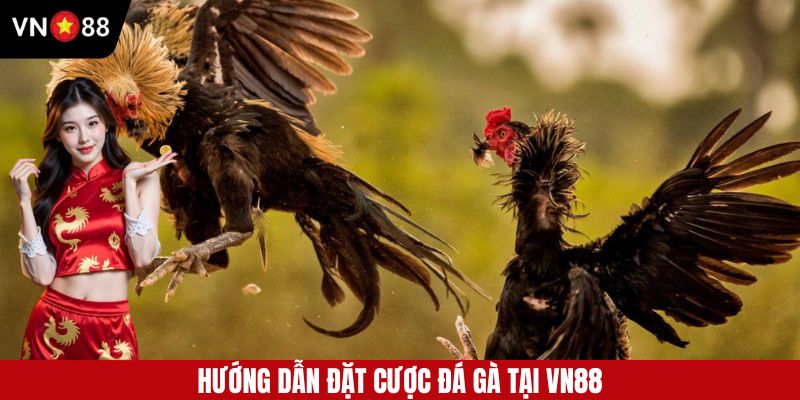 Hướng dẫn đặt cược đá gà tại hi88